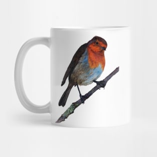 Robin Redbreast Coloured Pencil Drawing Mug